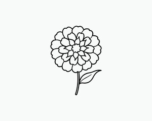 Marigold Coloring Page Flower Outline for Creative Activity