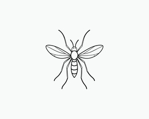 Mosquito Coloring Page Insect Outline for Educational Coloring