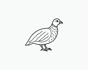 Quail Coloring Page Bird Outline Drawing for Coloring Activity