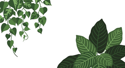 Green Tropical Plants Background