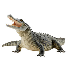 Naklejka premium Crocodile-Open-Mouth-Reptile-Wildlife-Predator