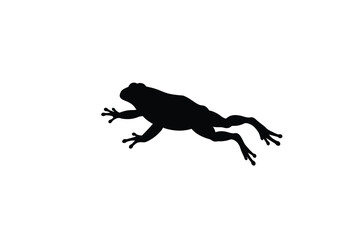 Obraz premium Frog jumping silhouette. This image shows a black silhouette of a frog in mid-jump, highlighting its dynamic pose and motion, symbolizing energy and nature. Vector clipart illustration design.