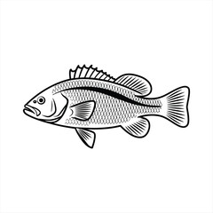 Detailed Black and White Fish Silhouette Vector Illustration with Fin and Scale Texture
