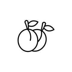 Plum icons vector icon design. modern flat and line design