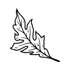 stylized autumn leaf outline