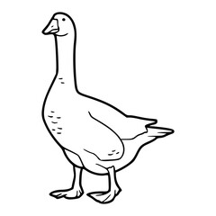 simple goose outlie vector illustration © Zen20