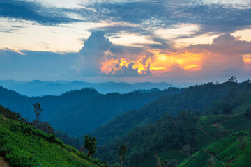 Doi Luang Chiang Dao of photo from Doi Hadubi in the during sunset with beautiful nature in tropical rainforest at Chiang Mai, Thailand