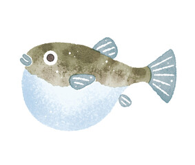 ふぐ　フグ　魚　水彩イラスト