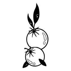 vector design of tomatoes with leaves