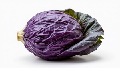 Obraz premium Cabbage, realistic style, isolated on a pure white background, minimal composition, soft natural shadows, high resolution, studio lighting, photorealistic
