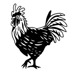 ornate chicken vector graphic design
