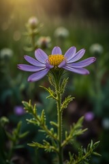 bee on purple flower