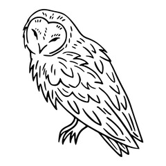 sleeping owl outline vector illustration