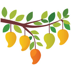 mangoes on its branch with leaves