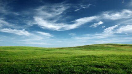 Fototapeta premium A peaceful, wide-open green grass field under a bright blue sky with soft clouds