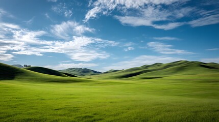 Fototapeta premium A peaceful, wide-open green grass field under a bright blue sky with soft clouds
