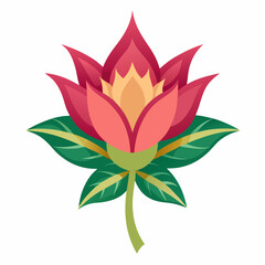 lotus flower vector illustration