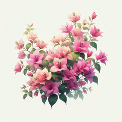 Colorful Tropical Bougainvillea Flowers with Green Leaves – High-Quality Botanical Artwork