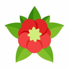 red flower isolated on white