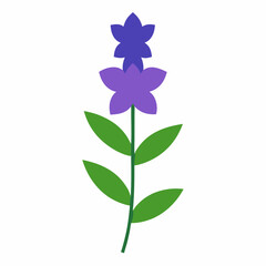 violet flower isolated on white background