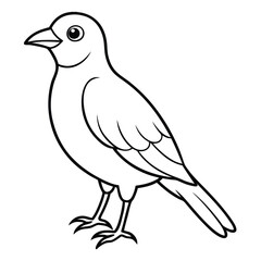 Fototapeta premium Simple Bird Sketch Vector Art on White Background