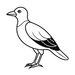 Obraz premium Simple Bird Sketch Vector Art on White Background