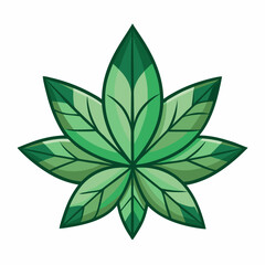 green leaf isolated on white background