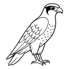 Fototapeta premium A drawing of a bird Coloring page vector illustration on white background