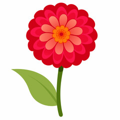 red dahlia flower