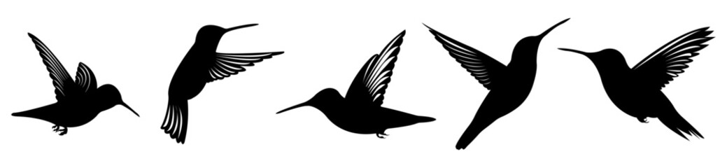 Hummingbird Silhouette Vector Collection in Flight Positions