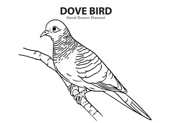 vector illustration of a dove bird