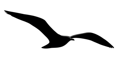 Silhouette of a Majestic Bird in Flight Against a Minimalist White Background for Nature Themes