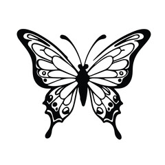 butterfly vector illustration