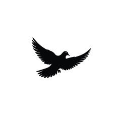 Obraz premium flying bird silhouette logo 