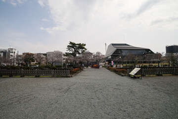 Fototapeta premium 立派な城門。 石垣や銅板で補強されていて非常に堅固。 屋根には鯱等も載っている。 日本の関東地方最大級の城、小田原城。 戦国時代（15〜16世紀）に関東一円を支配した北条氏の居城。 現代では公営の城址公園として整備されている。 本丸内資料館等、一部の有料施設以外のすべての公園部分は２４時間無料で市民に公開されている。 小田原城址公園、小田原市、神奈川県-2025年3月30日 