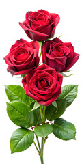 Naklejka premium bouquet of red roses