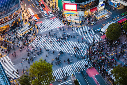 Shibuya crossing crowded at night aerial view, Tokyo, Japan