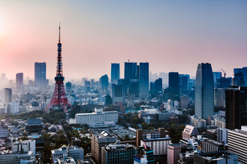 Elevated view of Tokyo tower and city at sunset