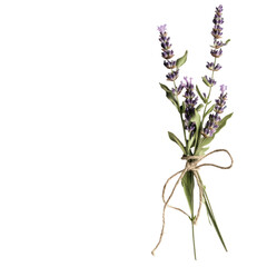 Naklejka premium A beautiful bouquet of lavender flowers tied with twine, symbolizing calm and serenity in a natural setting. on transparent background