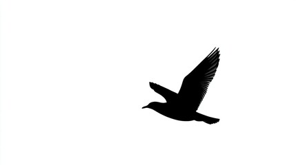 Fototapeta premium A silhouetted bird in mid-flight against a stark white background, symbolizing freedom and nature, perfect for conveying themes of wildlife or inspiration in various projects