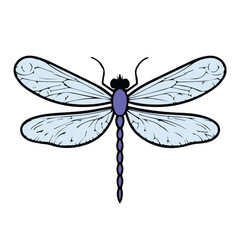 dragonfly vector illustration