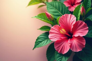 Obraz premium Bold, vibrant hibiscus blooms in a tropical design , motif, repeat