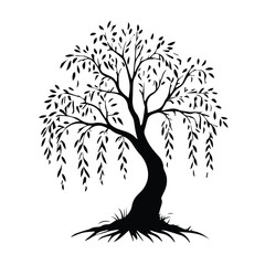 Elegant Black and White Silhouette of a Weeping Willow Tree