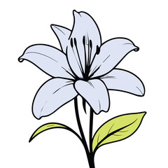 Obraz premium Elegant Light Purple Lily Illustration for Coloring Books