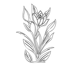 Elegant floral outline showcasing simplicity and natural beauty for creativity