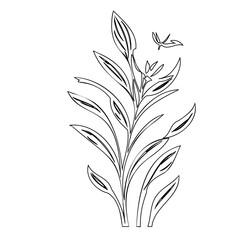 Botanical illustration featuring stylized plant and hummingbird linework design