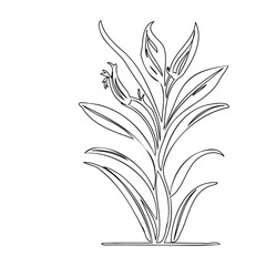 Elegant botanical drawing showcasing plant details through continuous line art