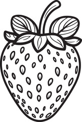 Botanical sketch of strawberries in black and white line art showing various fruit forms great for organic branding cooking guides artistic prints and nature based design
