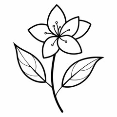 black and white flowers