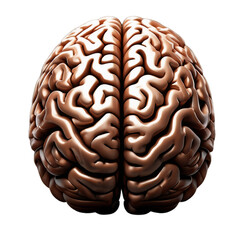 3D Bronze Human Brain Icon Isolated on White Background Representing Intelligence, Science and Innovation
